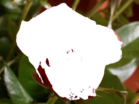 Pointed Color Flood Fill filter