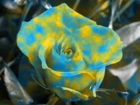 Textured Merge filter